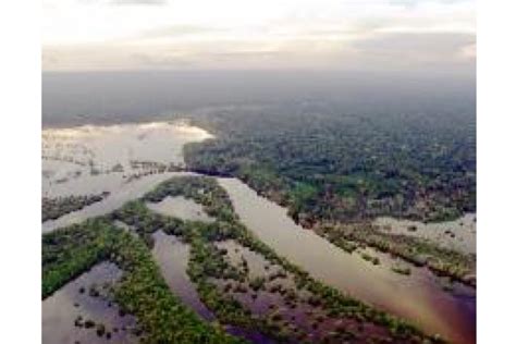 Brazil's Rio Negro river registers lowest water level since 1902 - The ...