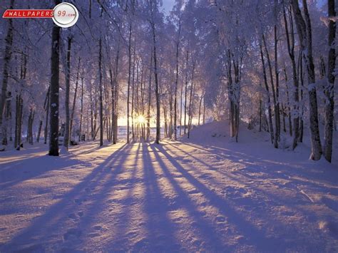 Free Winter Scene Wallpapers - Wallpaper Cave | Winter landscape ...