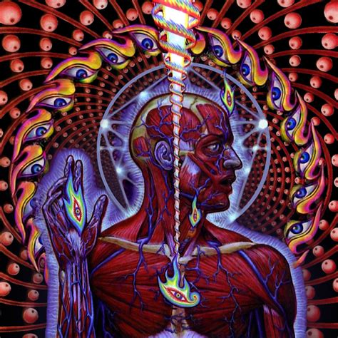 ZEPPELIN ROCK: Tool - Lateralus (2001): Crítica del disco review (El álbum de Fibonacci)