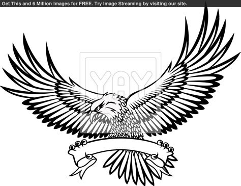 Soaring Eagle Drawing at GetDrawings | Free download