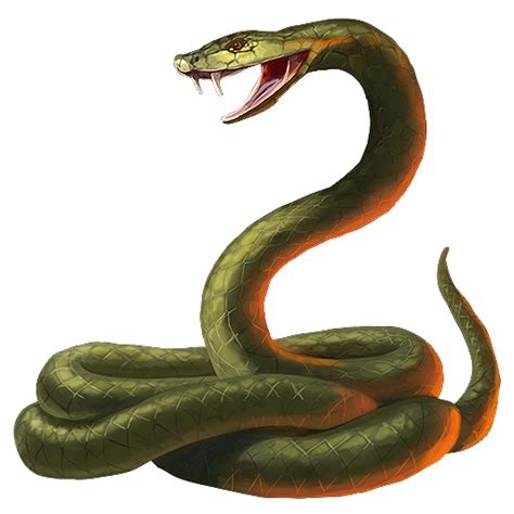 Anaconda PNG Images Transparent Free Download