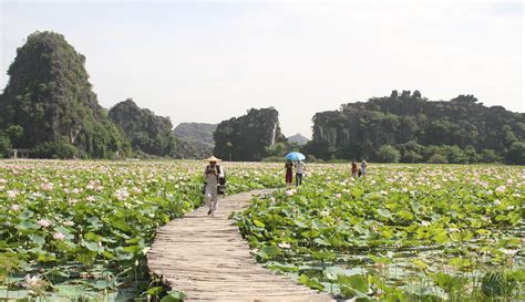 Phát triển du lịch văn hóa Ninh Bình- Bài 2: Di sản văn hóa-nguồn lực phát triển | baotintuc.vn