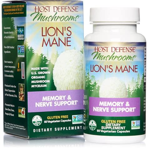 The Best Lion's Mane Supplement - The Brain Health Fungi!