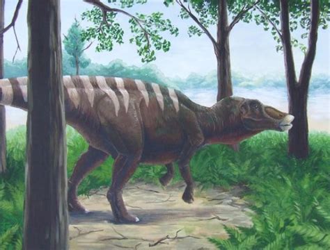 Anatotitan Pictures & Facts - The Dinosaur Database