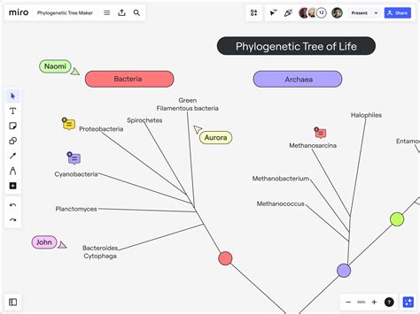 Phylogenetic Tree Maker | Unlock Evolutionary Insights | Miro