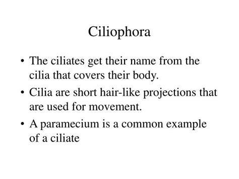 PPT - Ciliophora PowerPoint Presentation, free download - ID:3005398