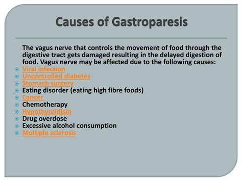 PPT - Gastroparesis: Causes, Symptoms, Diagnosis and Treatment PowerPoint Presentation - ID:7633737