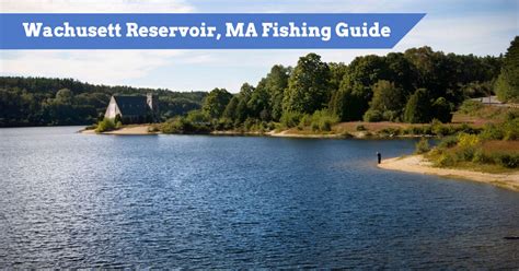 Wachusett Reservoir, Massachusetts Fishing Guide | Top Fishing Spots