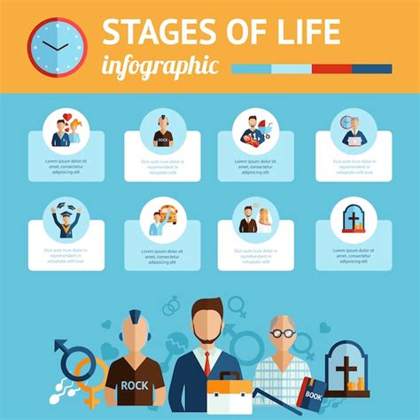 Stages of life infographic report print | Free Vector