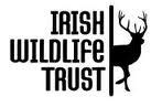 Irish Wildlife Trust...Waterford Branch: Wildlife and winter weather