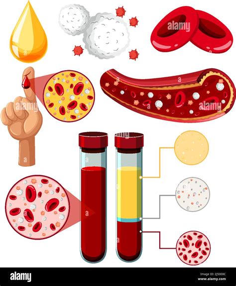 Set of equipment needed for science experiment illustration Stock ...