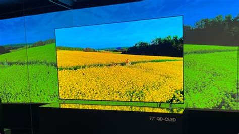 Samsung S95C QD-OLED: everything you need to know | TechRadar