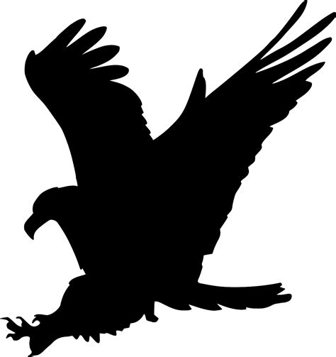 SVG > animal bird symbol beak - Free SVG Image & Icon. | SVG Silh