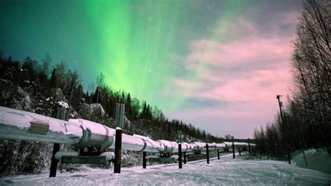 Fairbanks Aurora Borealis Tour - Fairbanks | Project Expedition