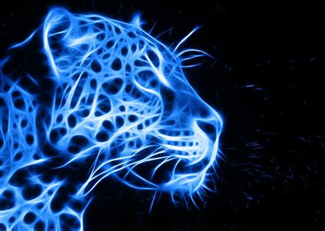 Patronus Animals - Tiger Patronus by DarkSephiel liked on Polyvore ...