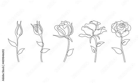 One line roses flower set. Abstract art, Hand drawn continuous line drawing of rose flowers ...