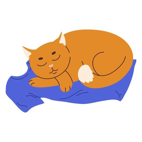 Premium Vector | Cute ginger cat sleeping on the owner's tshirt domestic animal flat vector ...