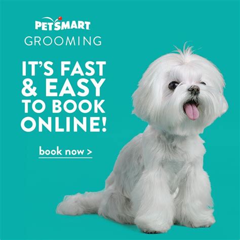 PetSmart Grooming | Cute little puppies, Cute little animals, Cute dogs and puppies