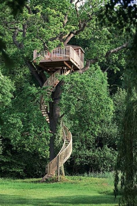 Fantastic Tree Houses for the child within... - The Owner-Builder Network