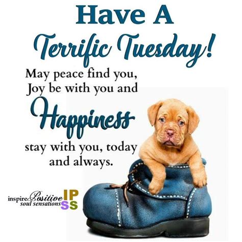 Have a | Tuesday quotes good morning, Happy tuesday quotes, Morning love quotes