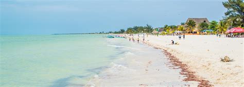 Thousands of Pink Flamingos and Color-changing Mangrove Caves Turn This Quiet Mexican Town Into ...