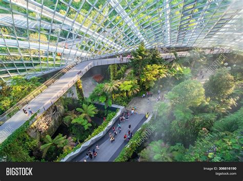 Cloud Forest Dome Image & Photo (Free Trial) | Bigstock