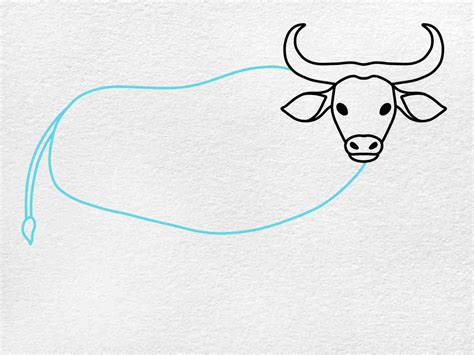 How to Draw an Ox - HelloArtsy