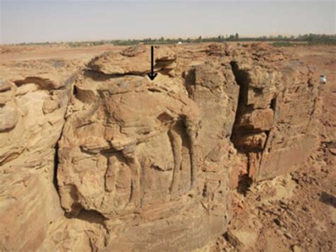 Rock art: Life-sized Sculptures of Dromedaries Found in Saudi Arabia | Ancient Origins