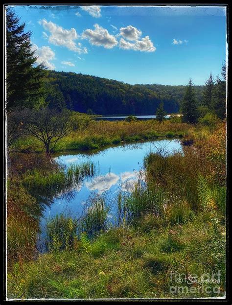 Spruce Knob Lake Photograph by Michele Hancock - Fine Art America