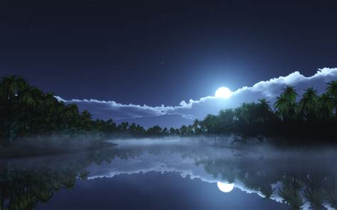 Moonlight Night Wallpaper (59+ images)