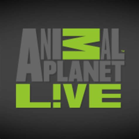 Live Animal Cams | A Listly List