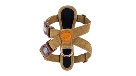 Ezy Dog Harness in Corduroy | Eight Paws