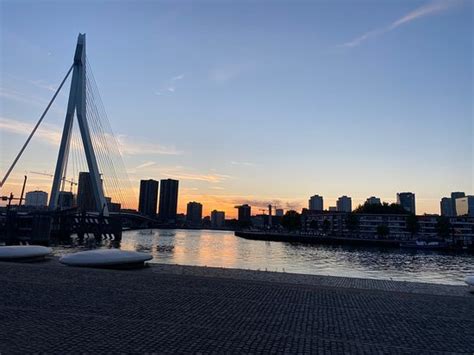 Erasmus Bridge (Rotterdam) - All You Need to Know BEFORE You Go - Updated 2020 (Rotterdam, The ...