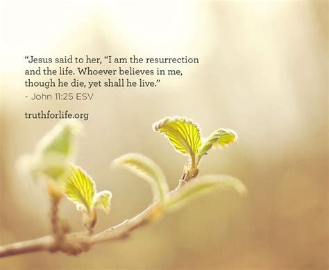 I am the resurrection and the life