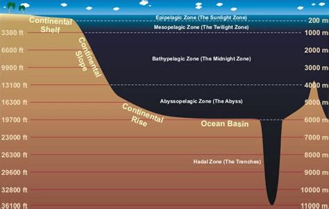 How deep is the ocean? - Epic Diving