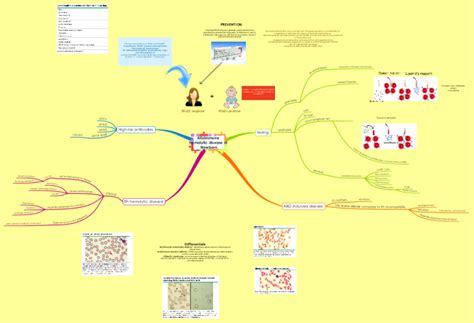 Alloimmune Hemolytic disease of Newborn: iMindMap mind map template | Biggerplate