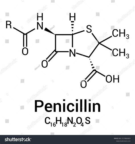 chemical structure of Penicillin (C16H18N2O4S) - Royalty Free Stock Vector 2175865603 - Avopix.com