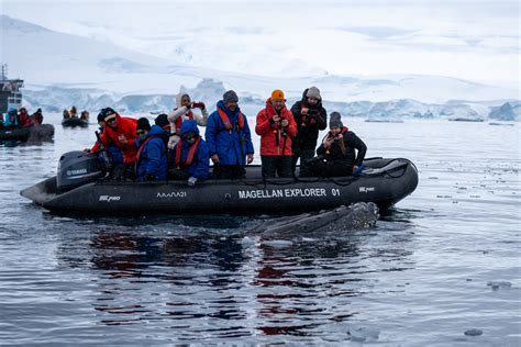 Antarctica Cruise Review: Antarctica21 Cruise with Adventure Life ...