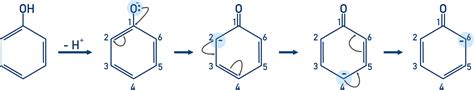 Phenol Reactions (A-Level) | ChemistryStudent