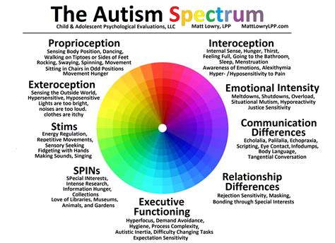 Reframing DSM Autism Criteria — Matt Lowry, LPP