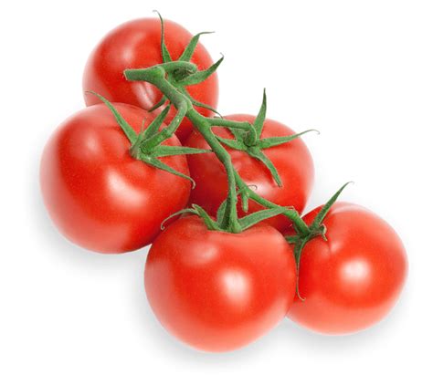Tomato-on-the-Vine | Lipman Family Farms