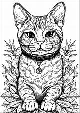 Pretty cat And Leaves  Cat Coloring Pages For Adults sketch template