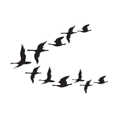 Premium Vector | Flying swan icon. silhouette of a group of flying geese.