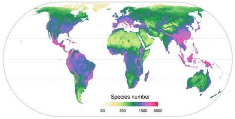 A world map of plant diversity - Sonnenseite - Ökologische Kommunikation mit Franz Alt