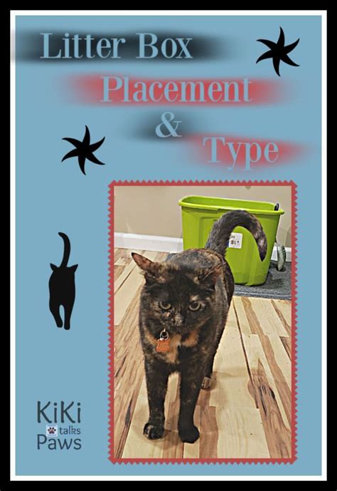 Litter Box Placement & Type | KiKi Talks Paws | Cat parenting, Cat ...