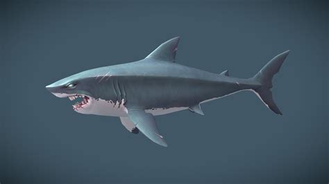 Handpainted Shark - 3D model by Claire Chidgey (@chidgey) [df5f52f ...