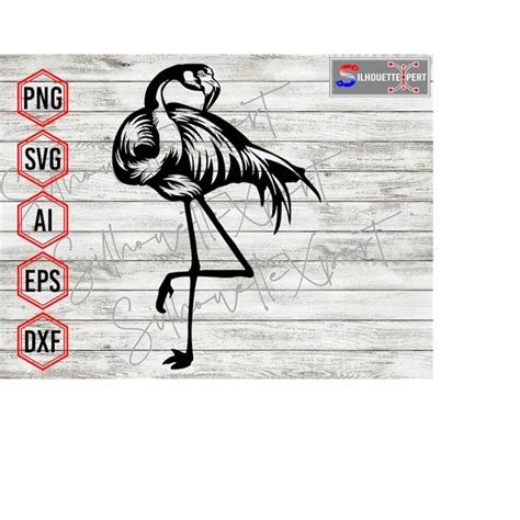 Flamingo Silhouette, Flamingo svg, Summer svg - Clipart, Cri - Inspire Uplift