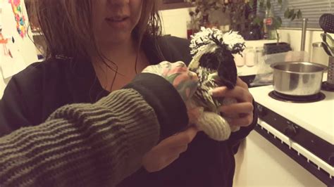 Crochet puppy dog pregnant stuffed animal cute - YouTube