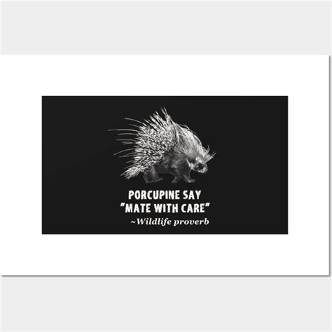 Mate with Care Funny Porcupine Quote - Porcupine - Posters and Art ...