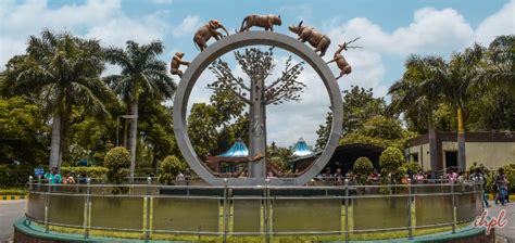 Nehru Zoological Park, Hyderabad